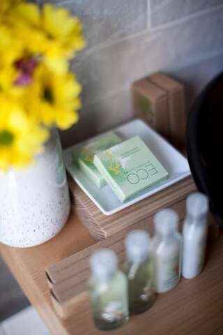 Отель Клуб Яремчанський Яремче Двухместный номер с 1 кроватью и видом на горы-8